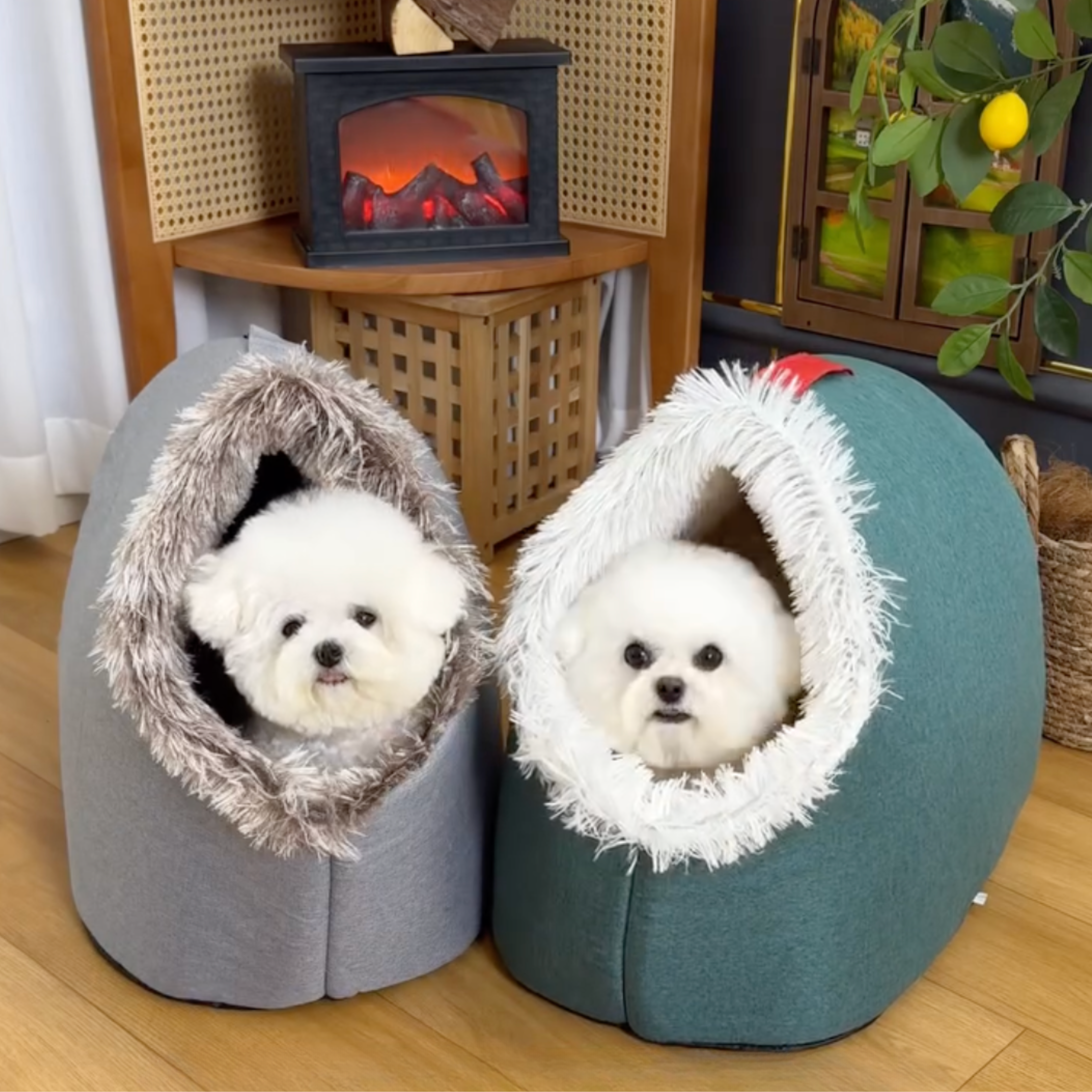 Elvori Virale Honden Mandje