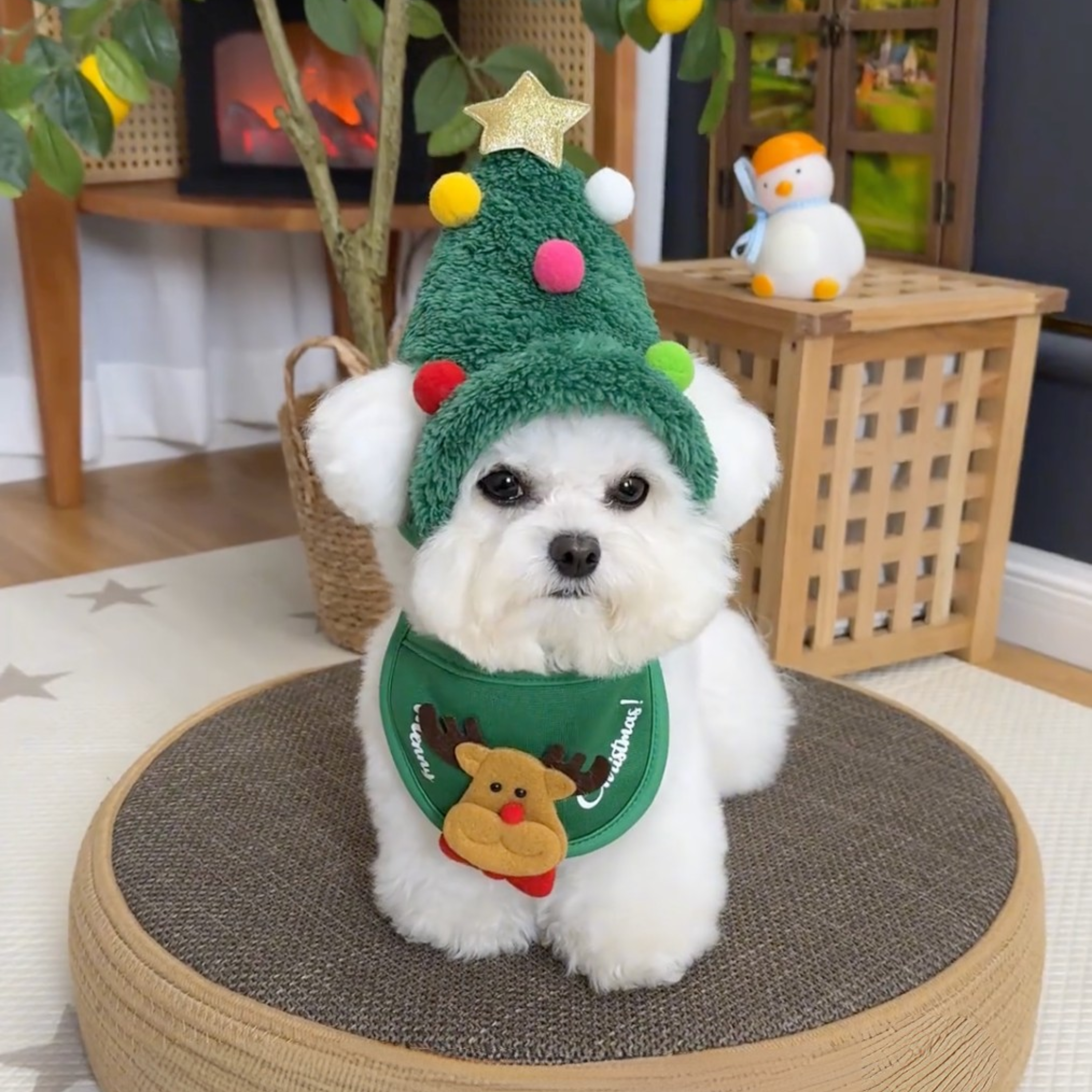 Elvori Virale Kerst Set