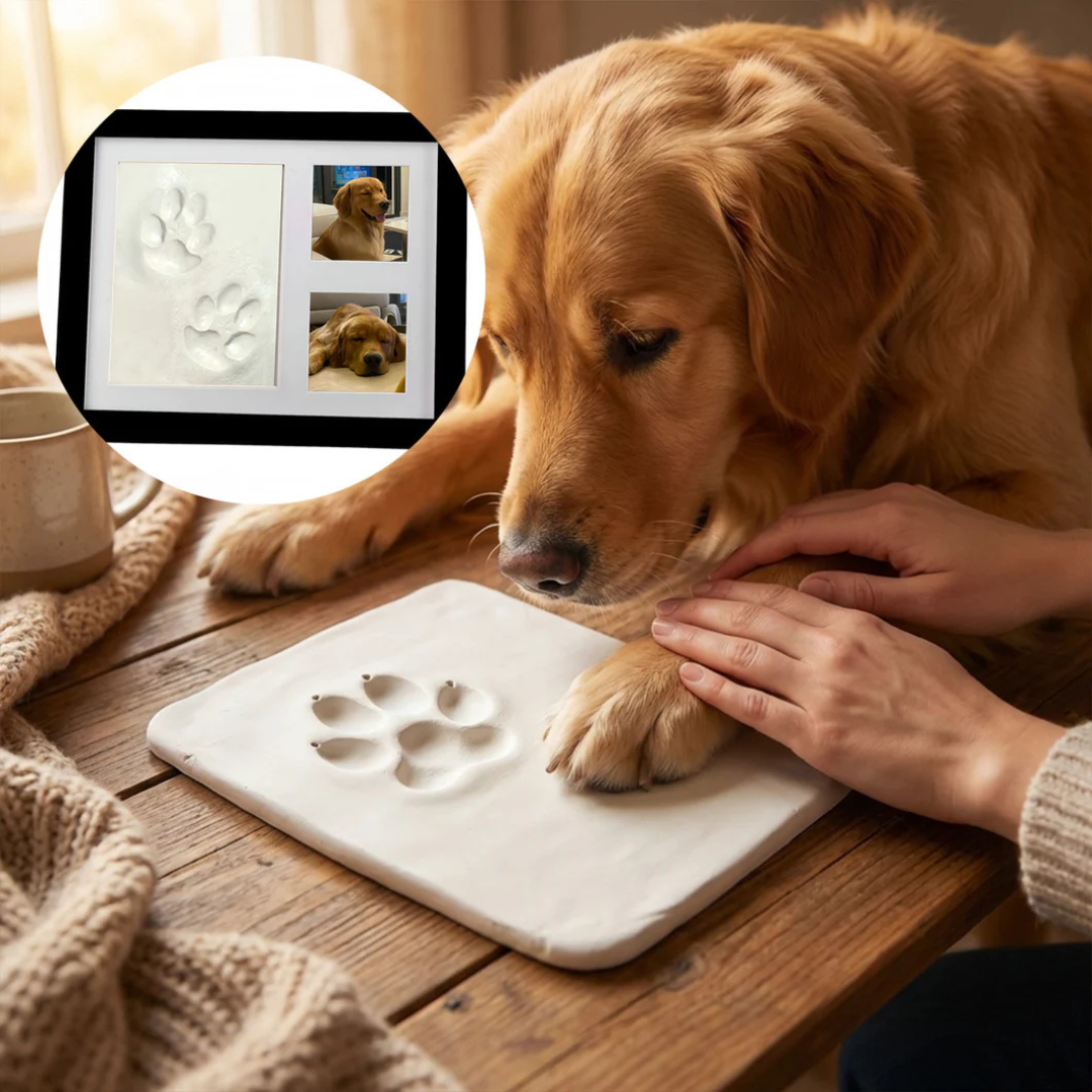 De Clay Paw Print Kit - Een herinnering voor altijd