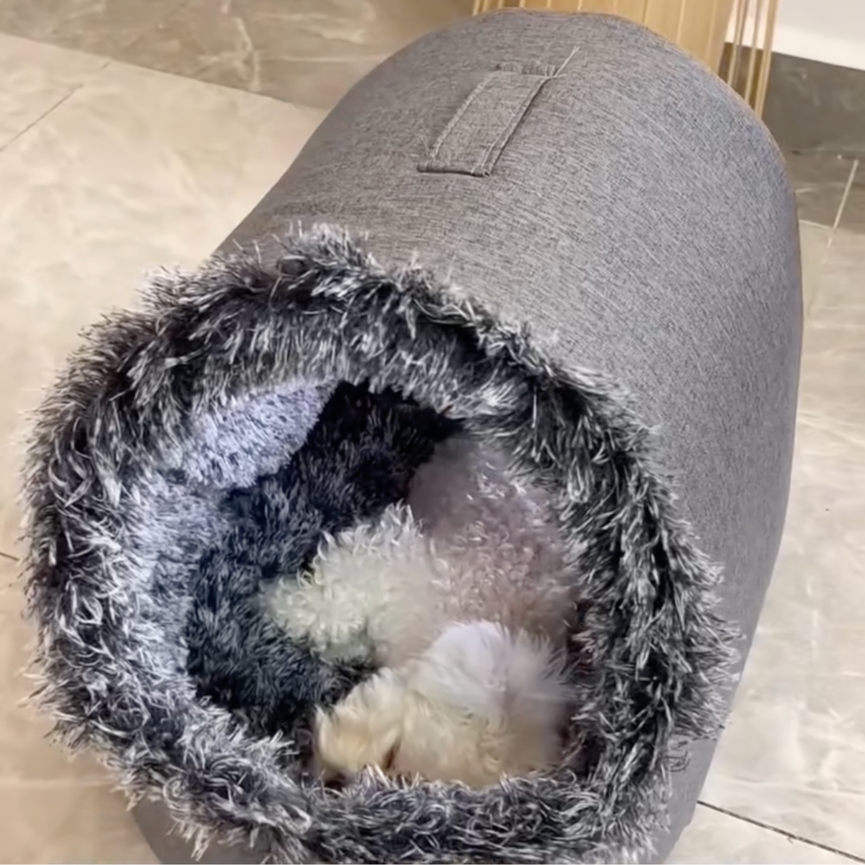 Elvori Virale Honden Mandje