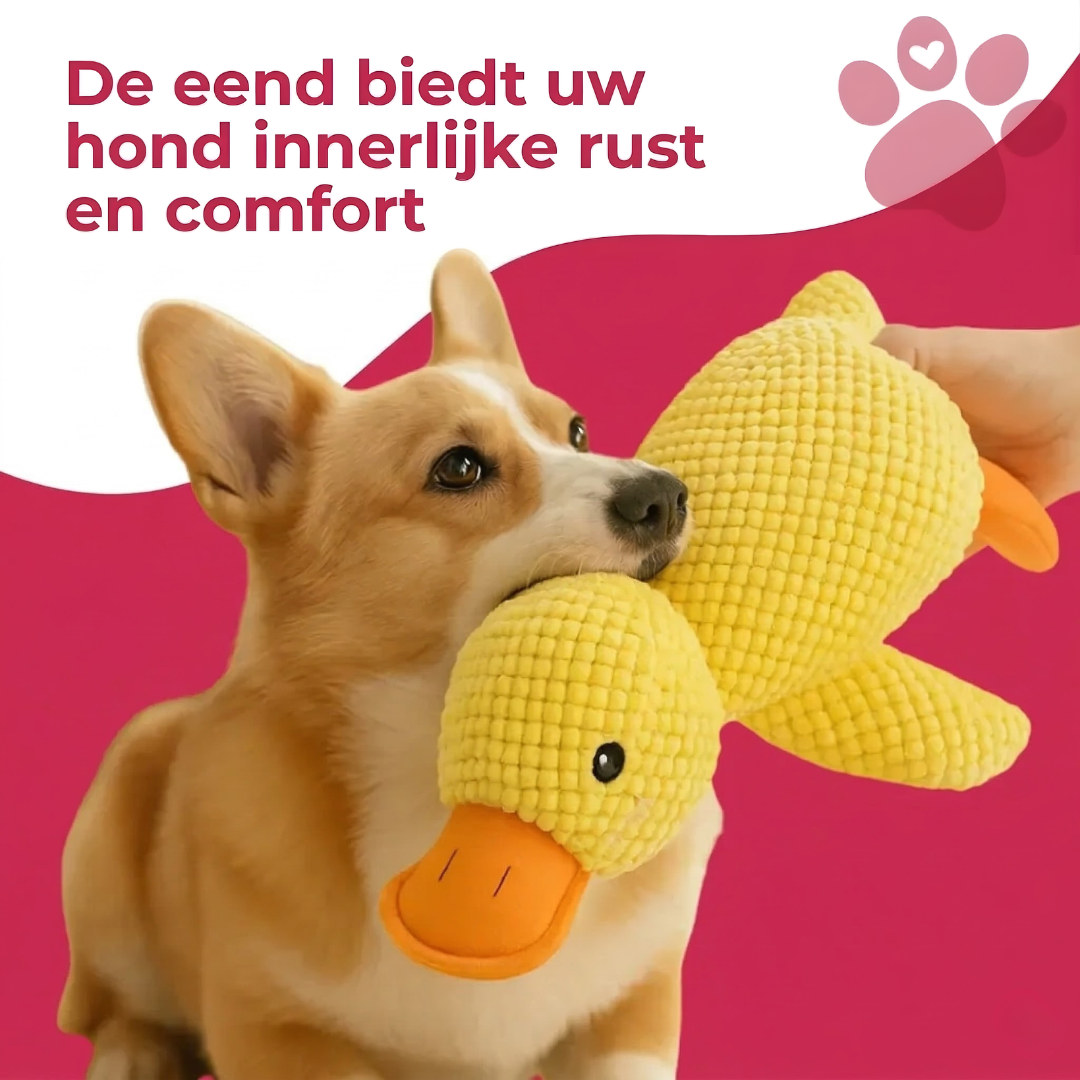 Stress Verlichtende Eend