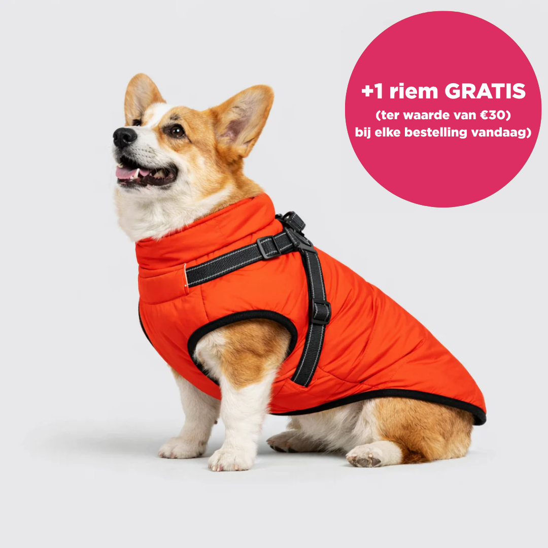 Warmte Snuggle™ 3-in-1 winterjas + GRATIS riem