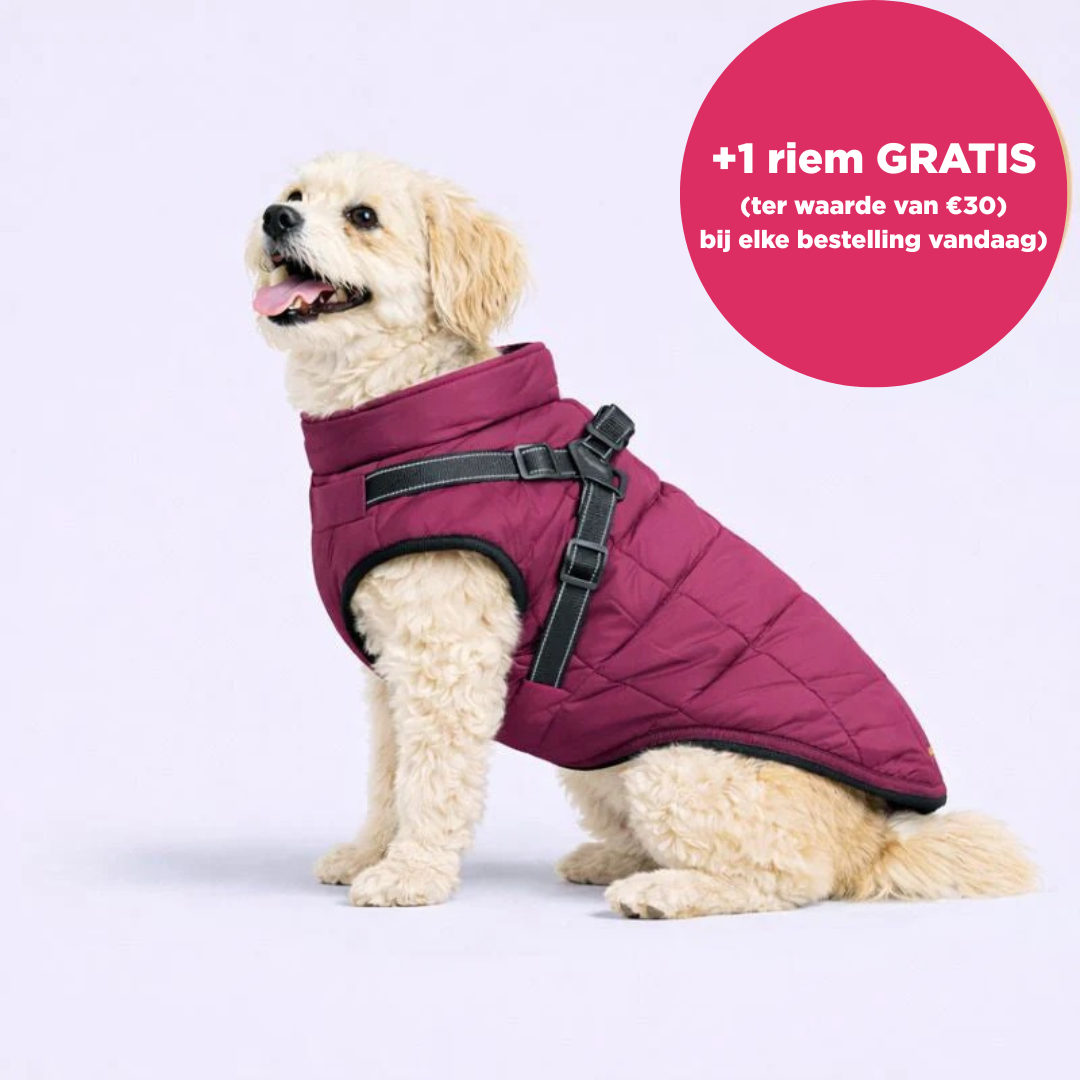 Warmte Snuggle™ 3-in-1 winterjas + GRATIS riem