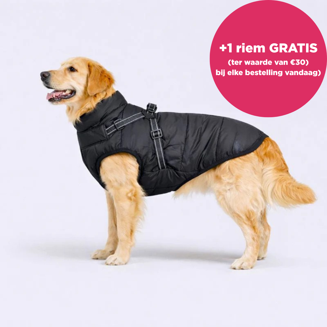 Warmte Snuggle™ 3-in-1 winterjas + GRATIS riem