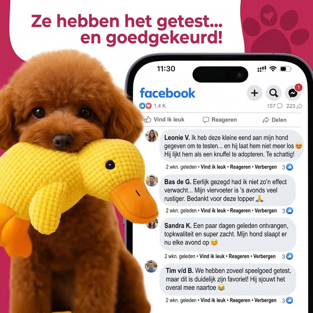 Stress Verlichtende Eend