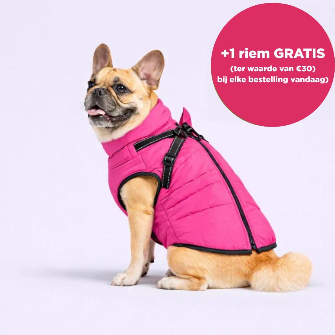 Warmte Snuggle™ 3-in-1 winterjas + GRATIS riem