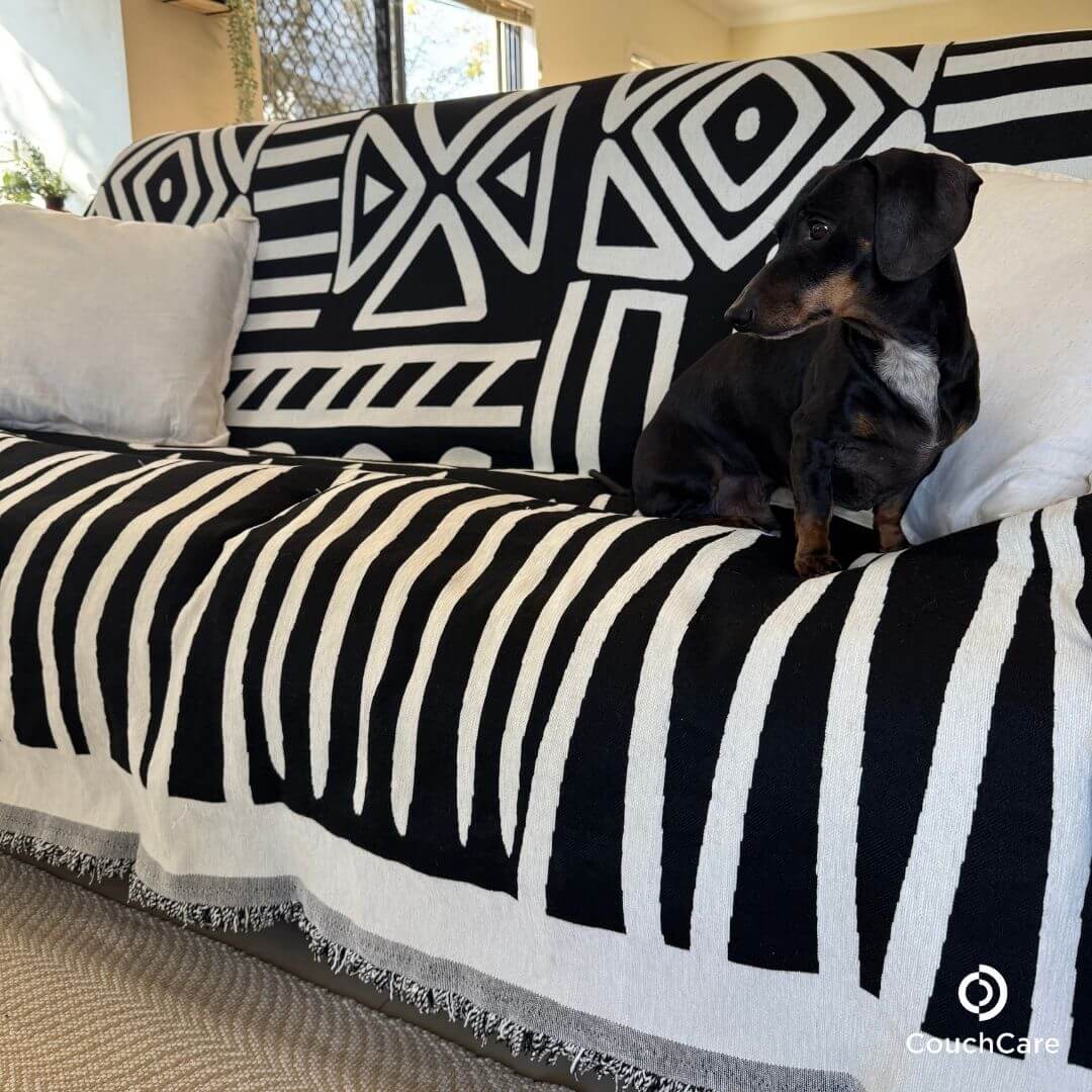 CouchCare™ Bankbeschermer