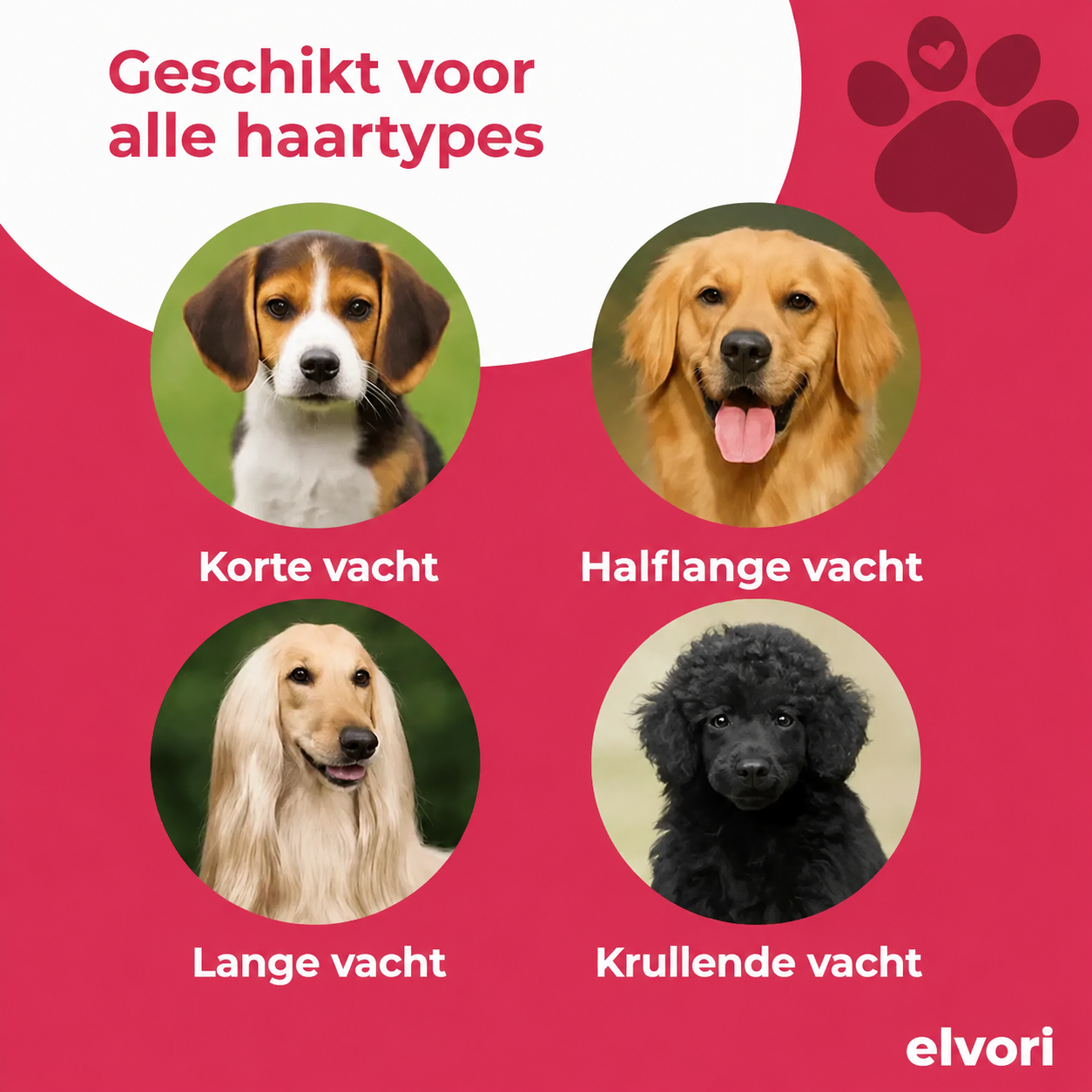 Vacht Wonder Borstel - Bestseller