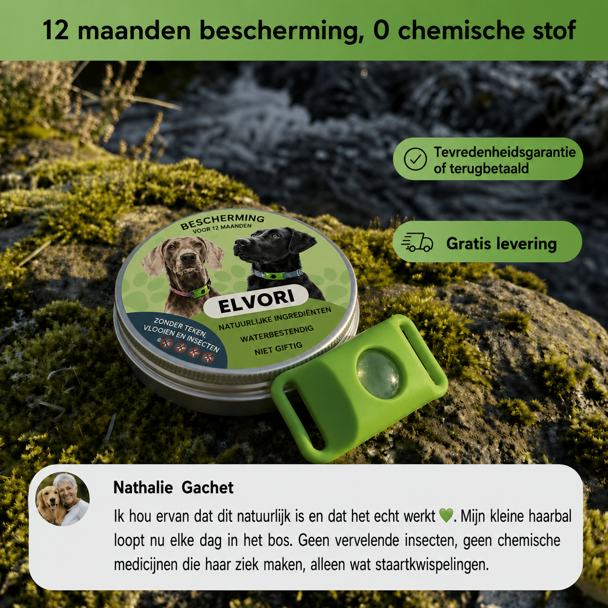 Elvori™ – Tot 12 Maanden Bescherming Tegen Vlooien en Teken