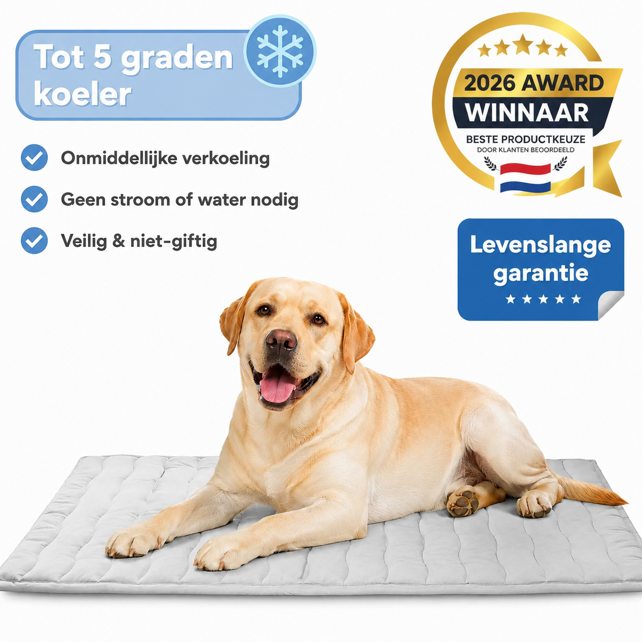 Verkoelende Honden Mat
