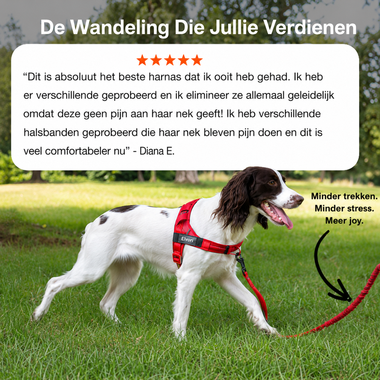 Elvori Anti-Trek Tuigje voor Honden