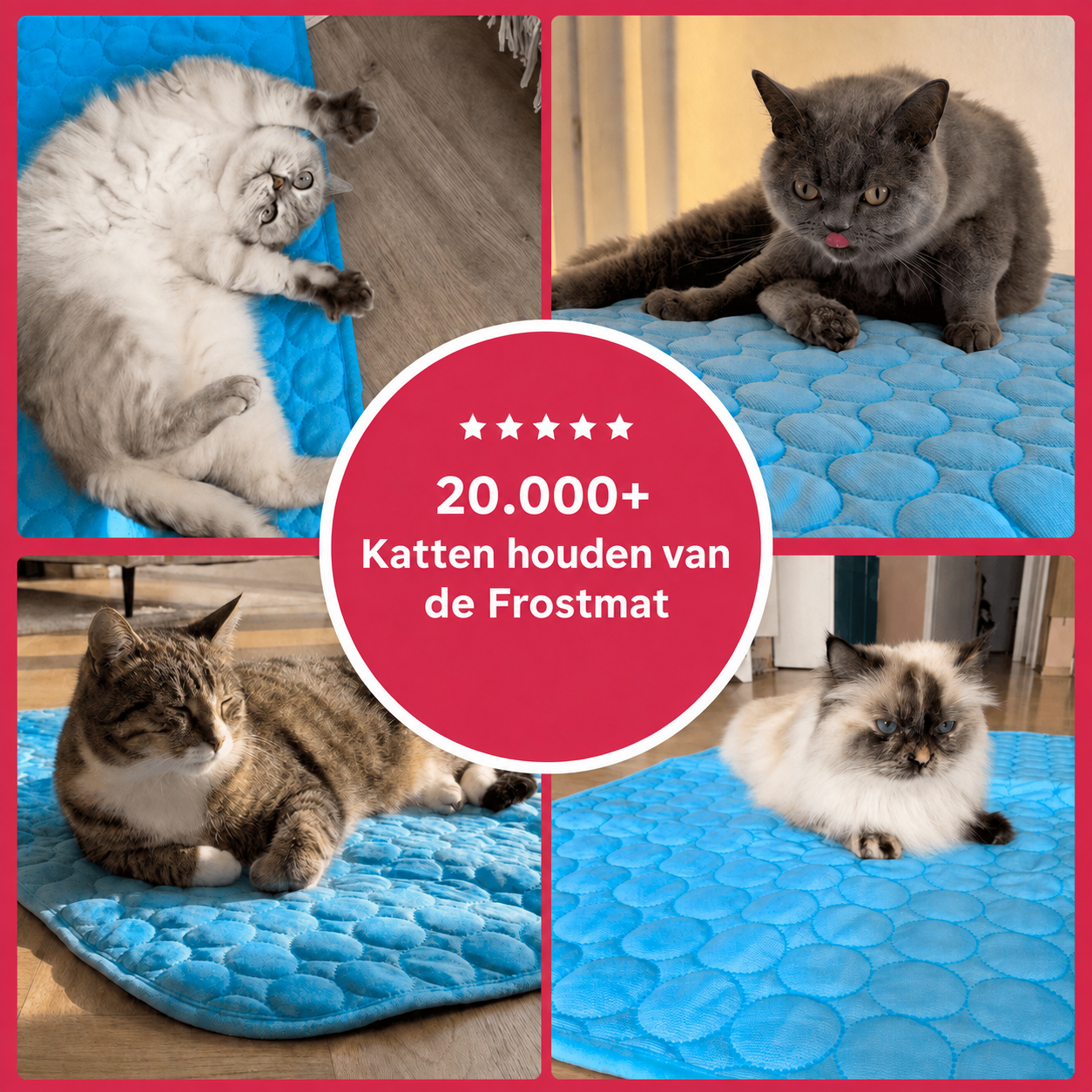 Frostmat Voor Katten
