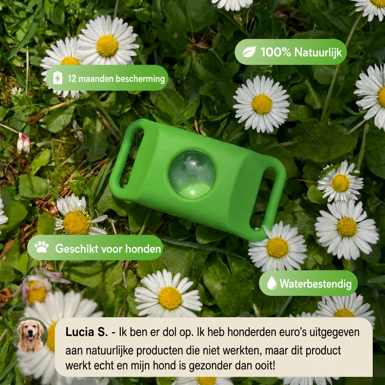 Elvori™ – Tot 12 Maanden Bescherming Tegen Vlooien en Teken