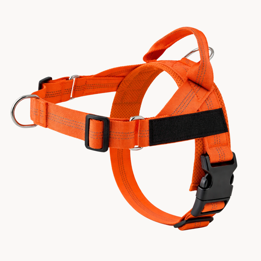 ParoPet tuigje - Oranje