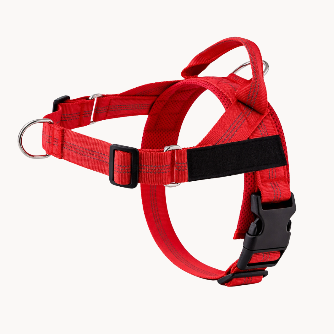 ParoPet tuigje - Rood