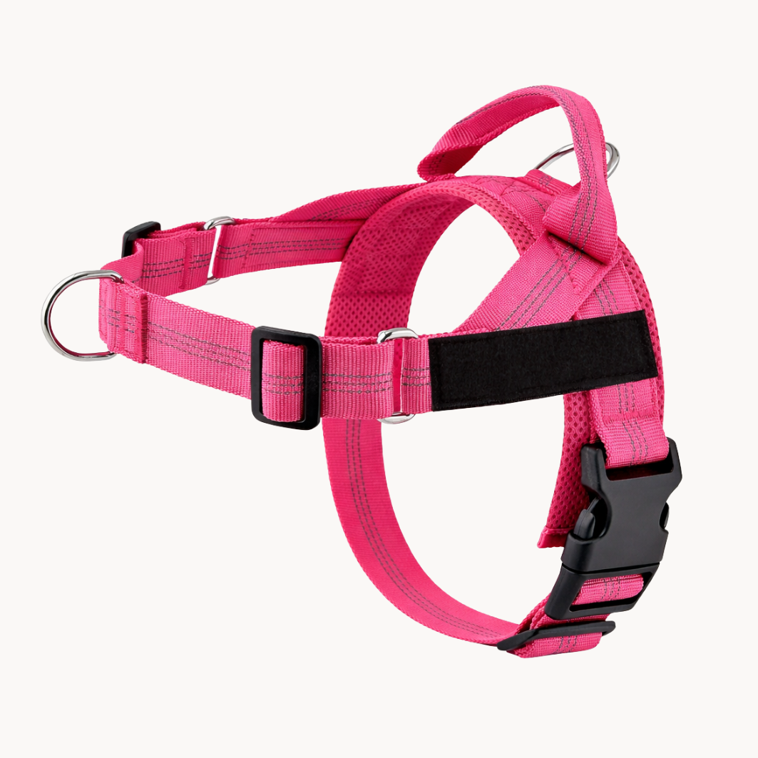 ParoPet tuigje - Roze