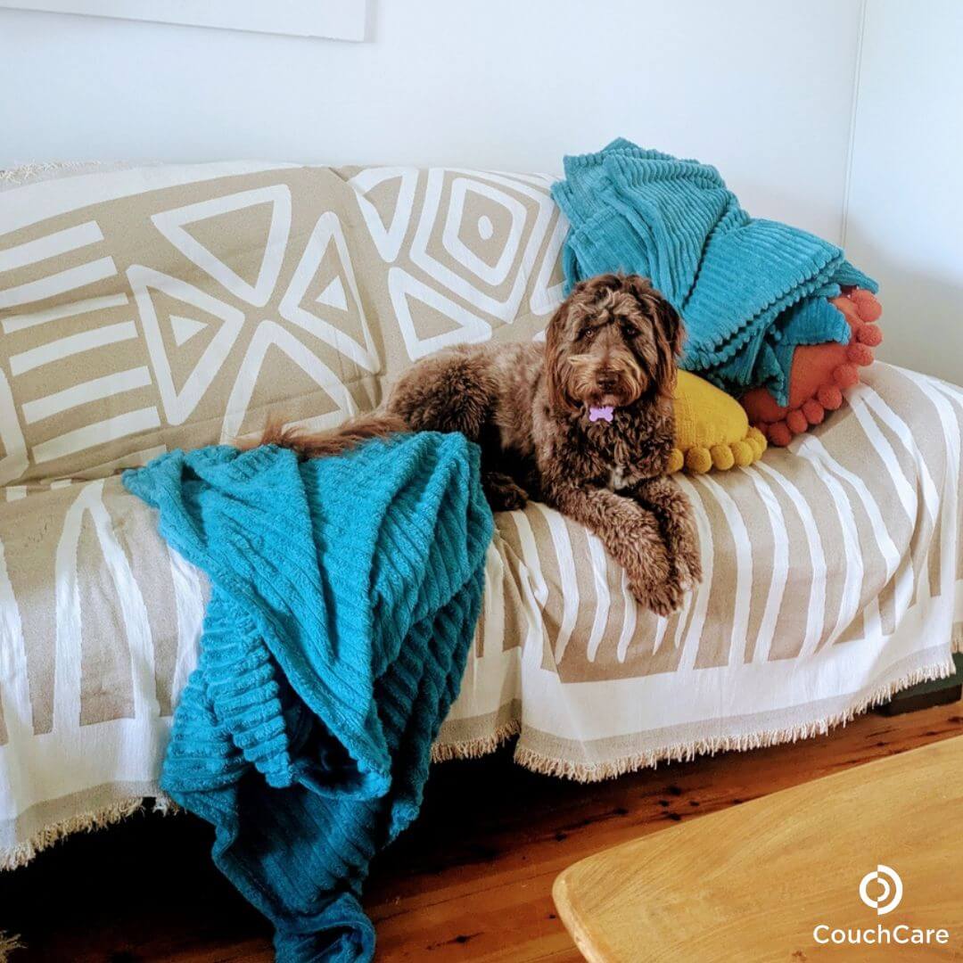 CouchCare™ Bankbeschermer