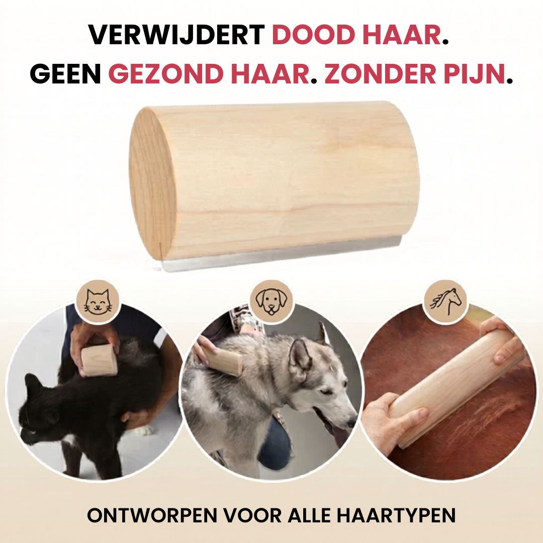 Elvori Borstel | Verwijder dode ondervacht in seconden