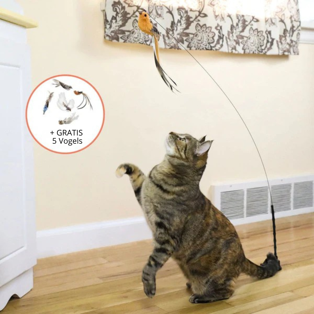 Interactieve Vogel Simulatie Speelgoed Set + 5 GRATIS VOLGELS