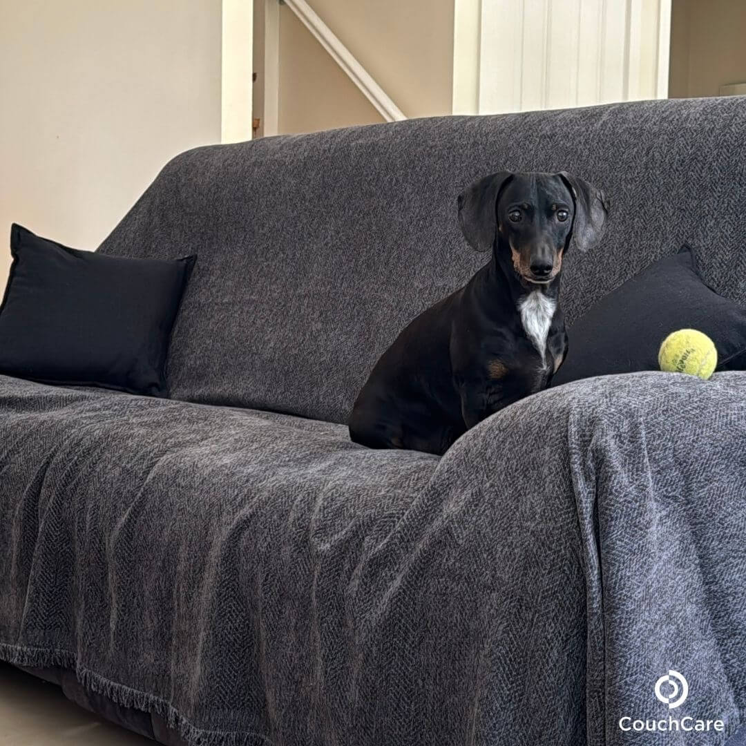 CouchCare™ Bankbeschermer