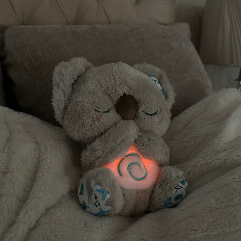 Kalmerende Koala – De metgezel voor innerlijke rust