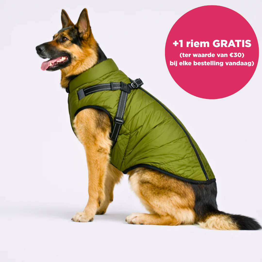 Warmte Snuggle™ 3-in-1 winterjas + GRATIS riem