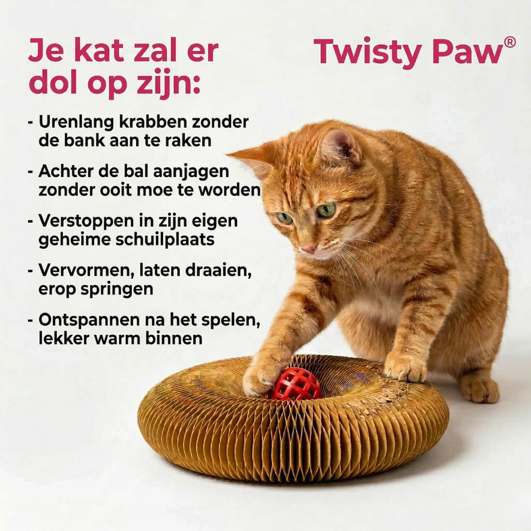 Twisty Paw | Interactieve krab paal voor katten