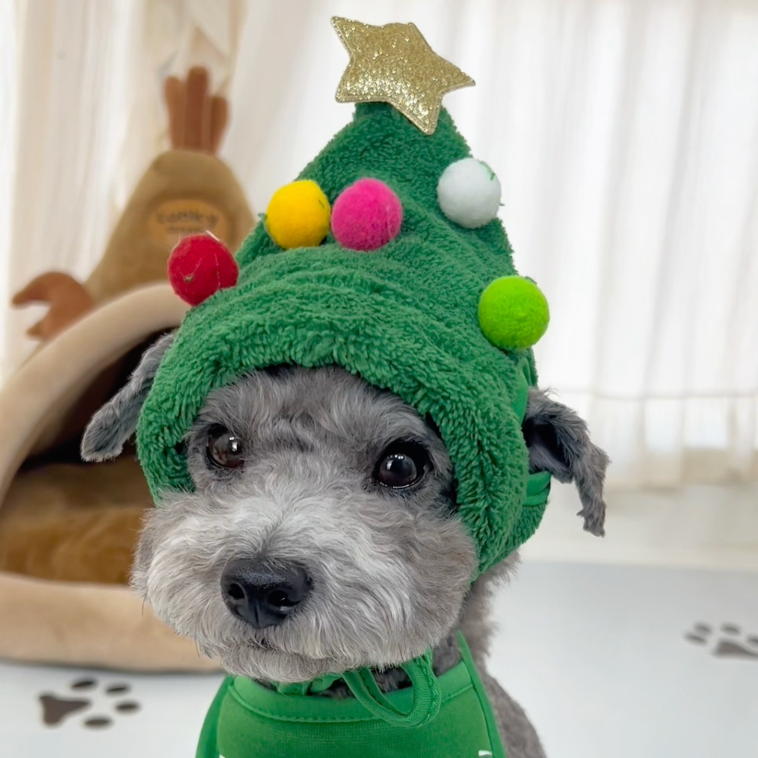 Elvori Virale Kerst Set