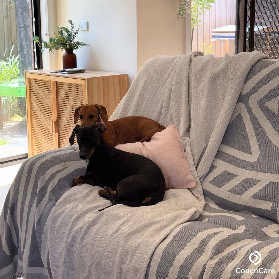 CouchCare™ Bankbeschermer