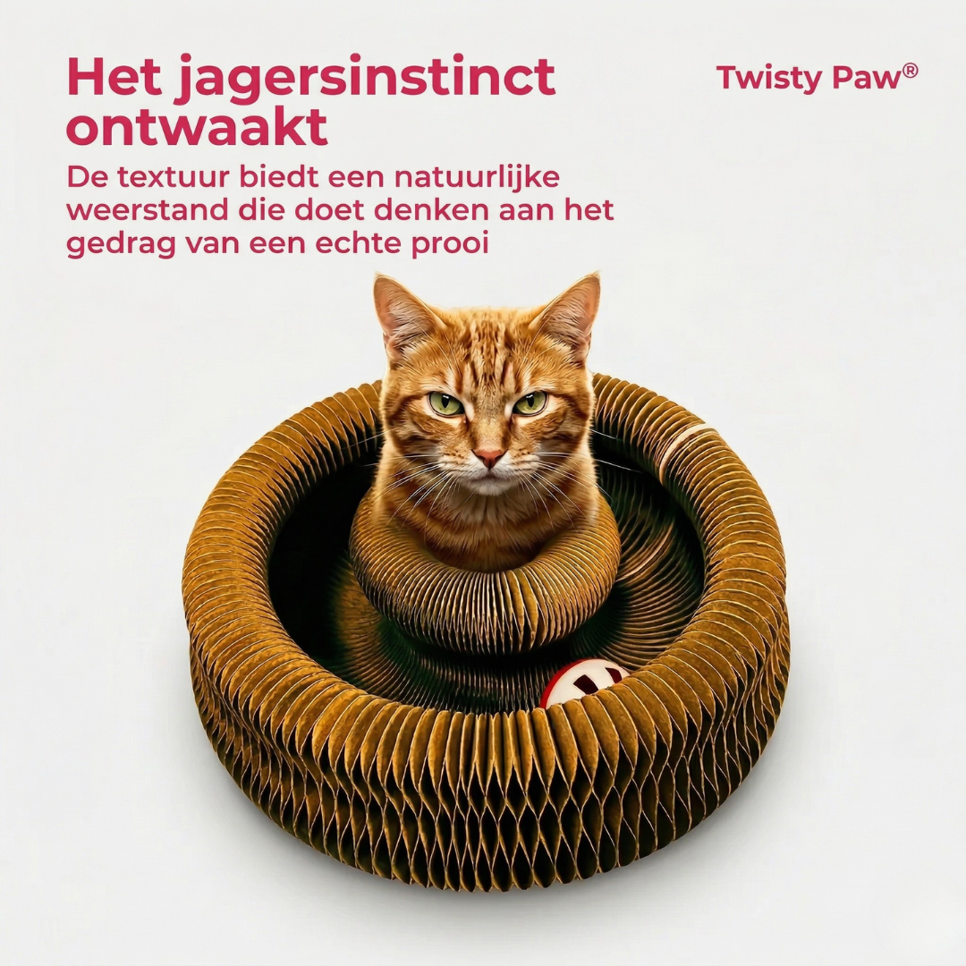 Twisty Paw | Interactieve krab paal voor katten