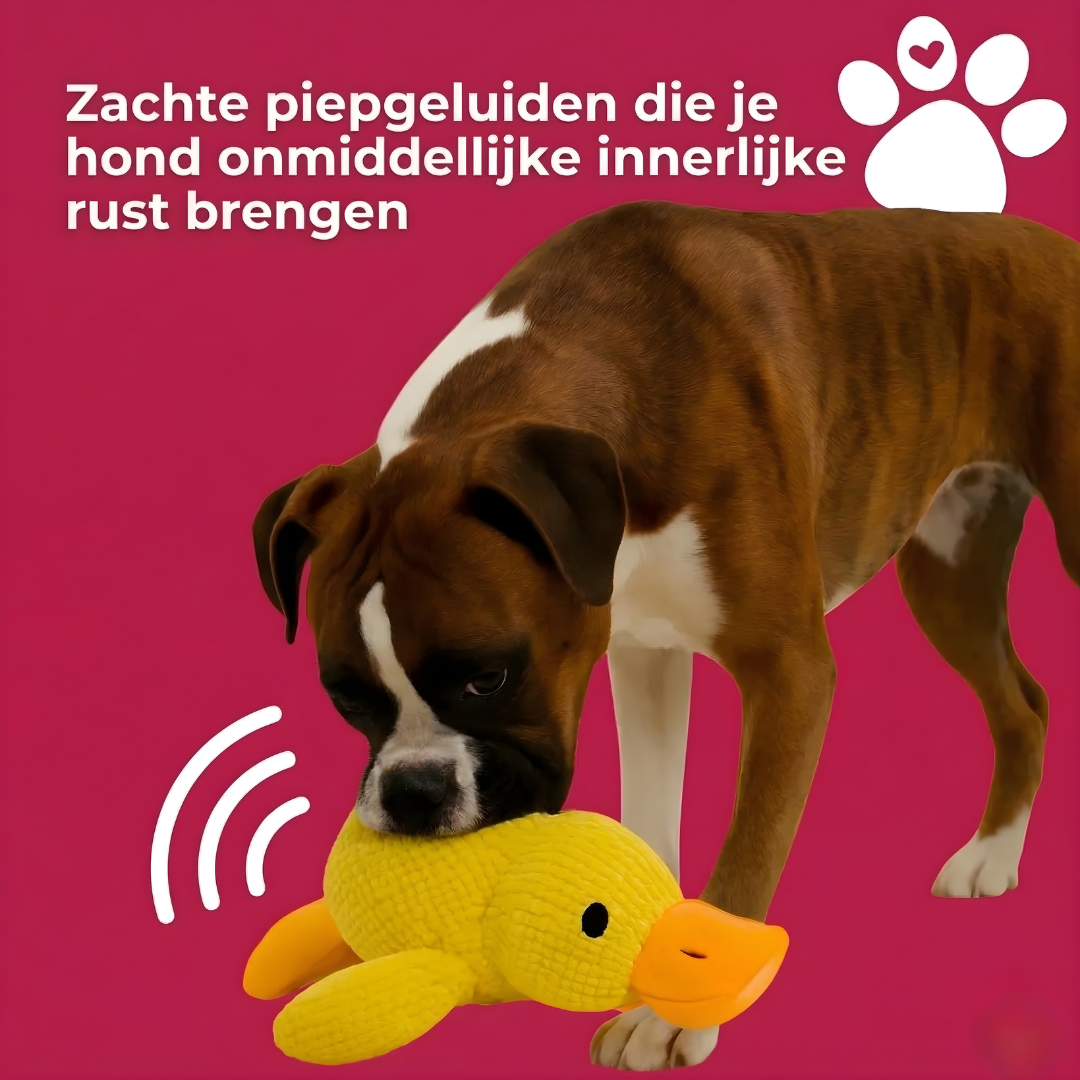 Stress Verlichtende Eend