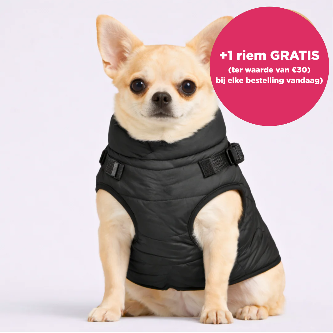 Warmte Snuggle™ 3-in-1 winterjas + GRATIS riem