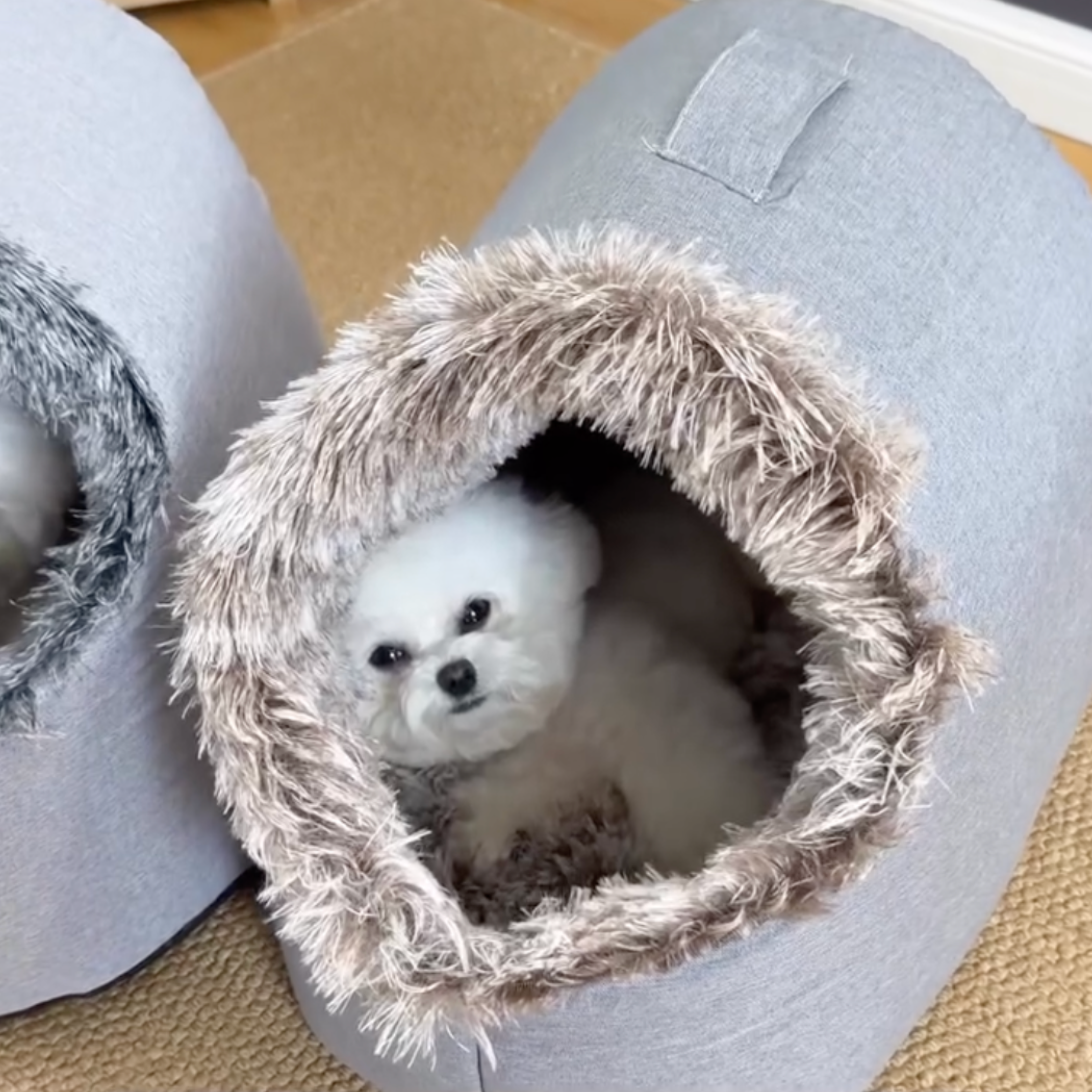 Elvori Virale Honden Mandje