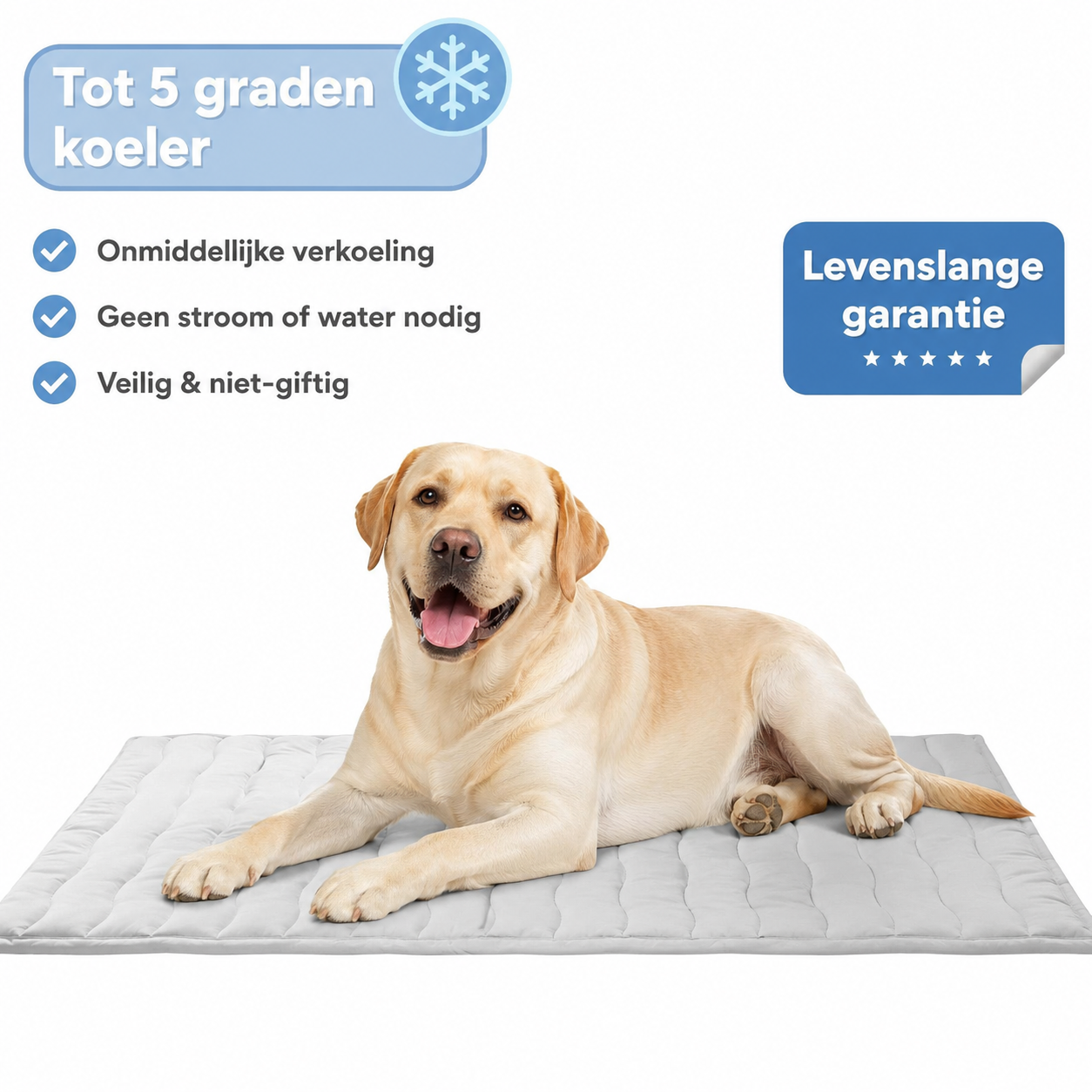 Arch Chill - Verkoelende Honden Mat
