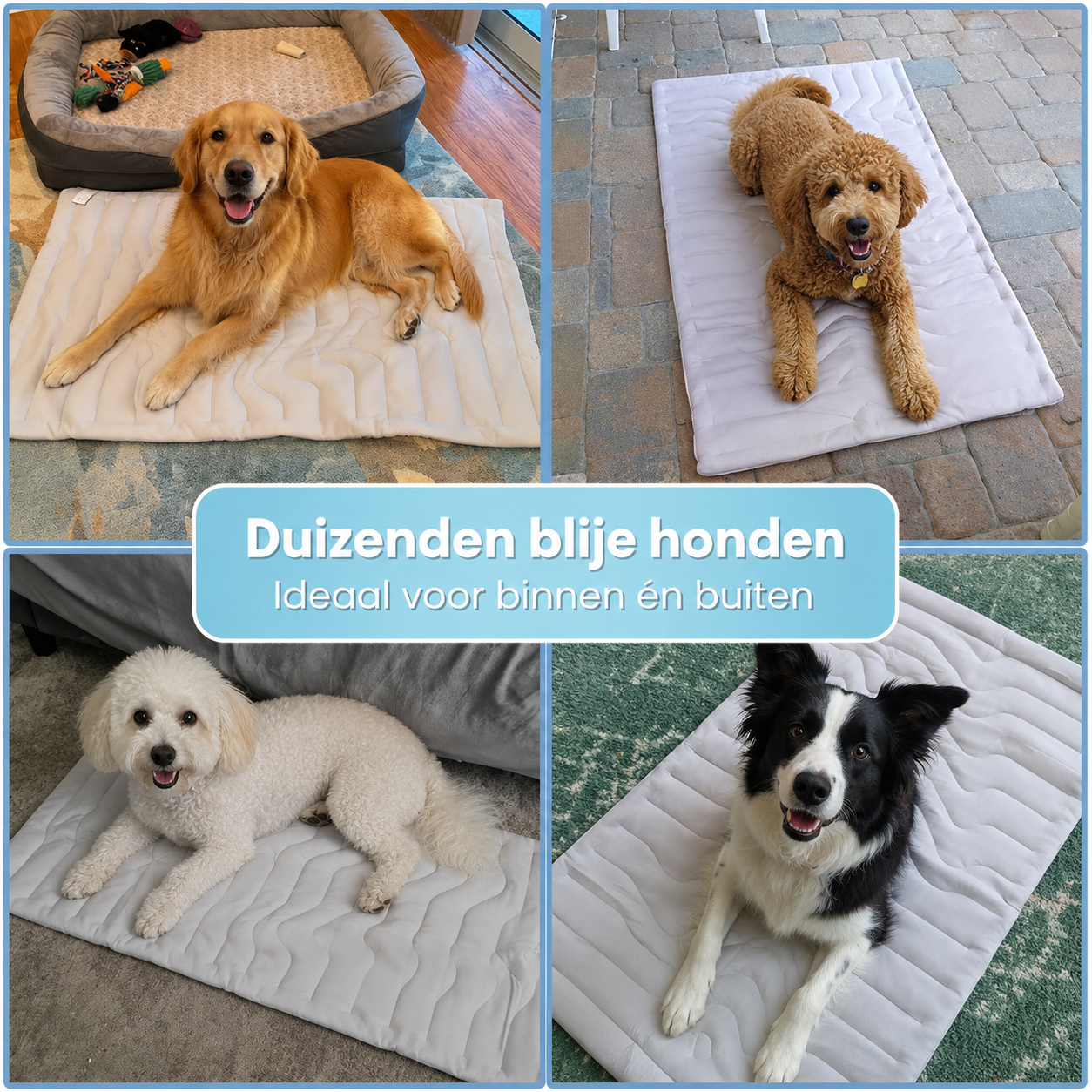 Arch Chill - Verkoelende Honden Mat