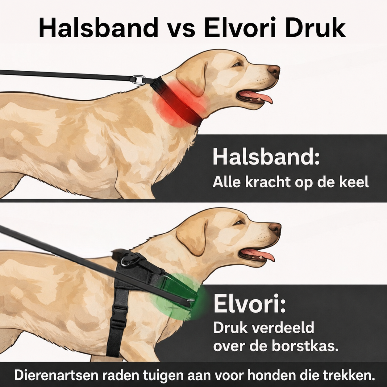 Elvori Anti-Trek Tuigje voor Honden