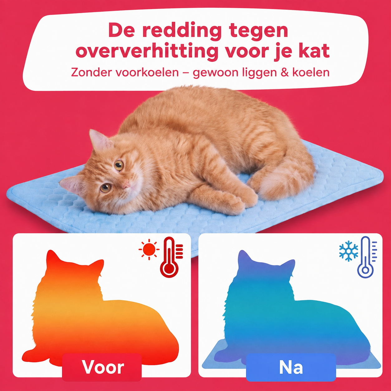 Frostmat Voor Katten