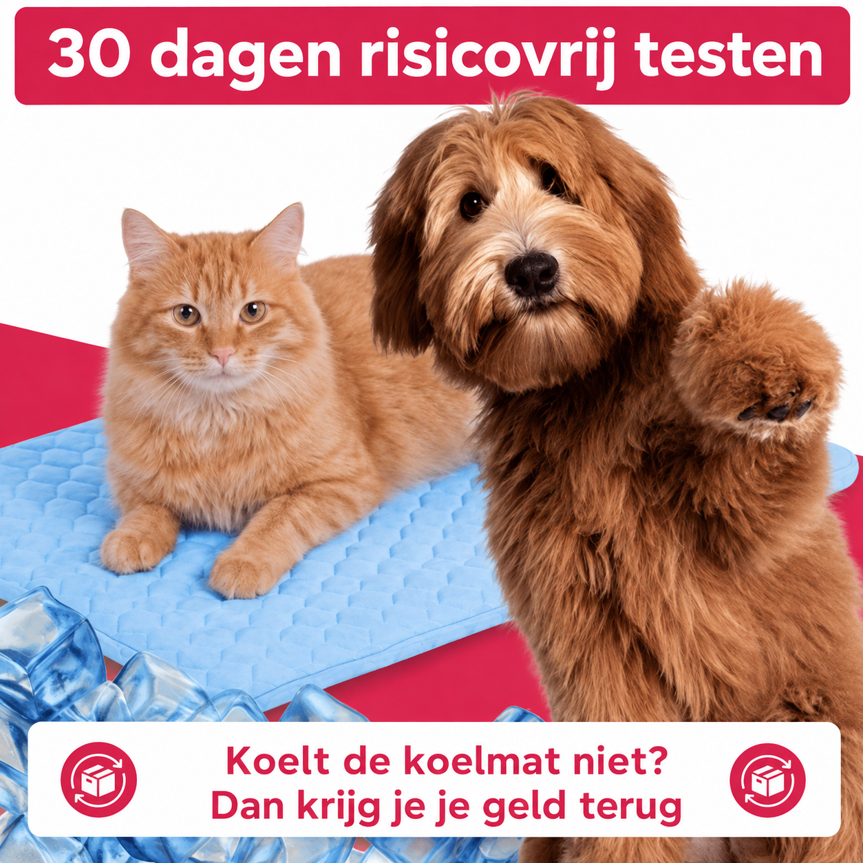 Frostmat Voor Katten