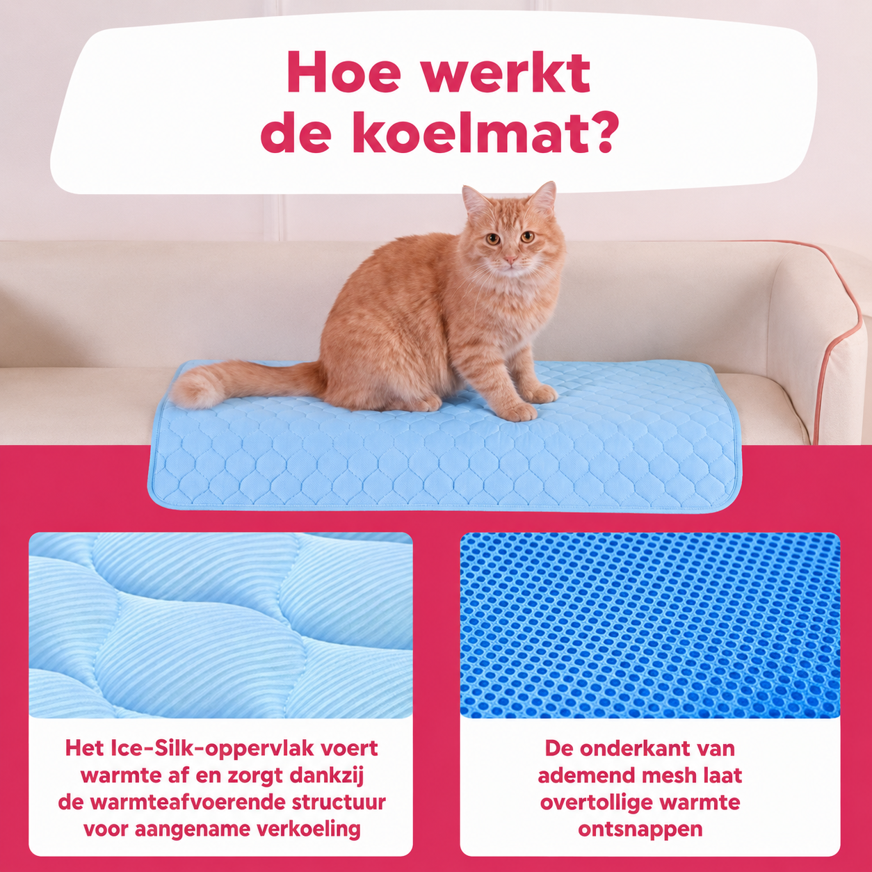 Frostmat Voor Katten