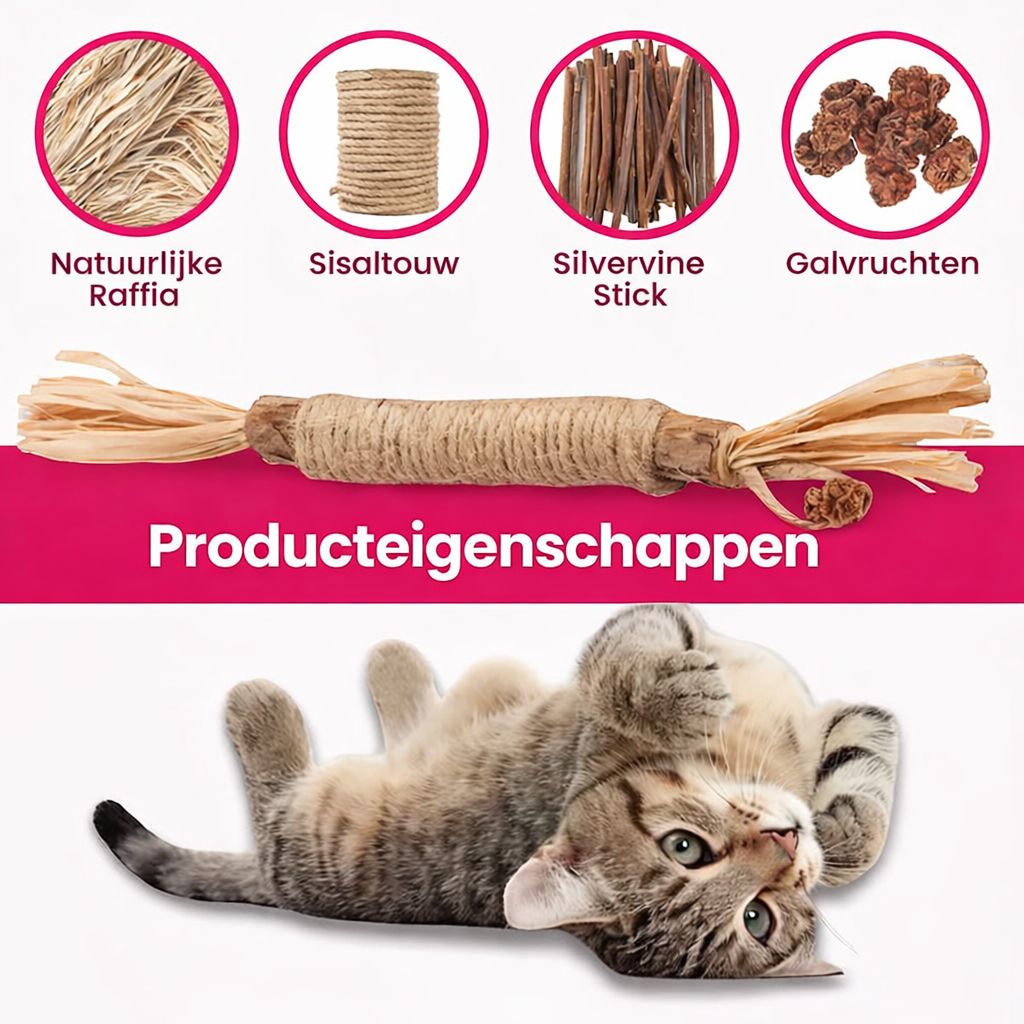 Elvori Tandstokjes met natuurlijke zilverkruid
