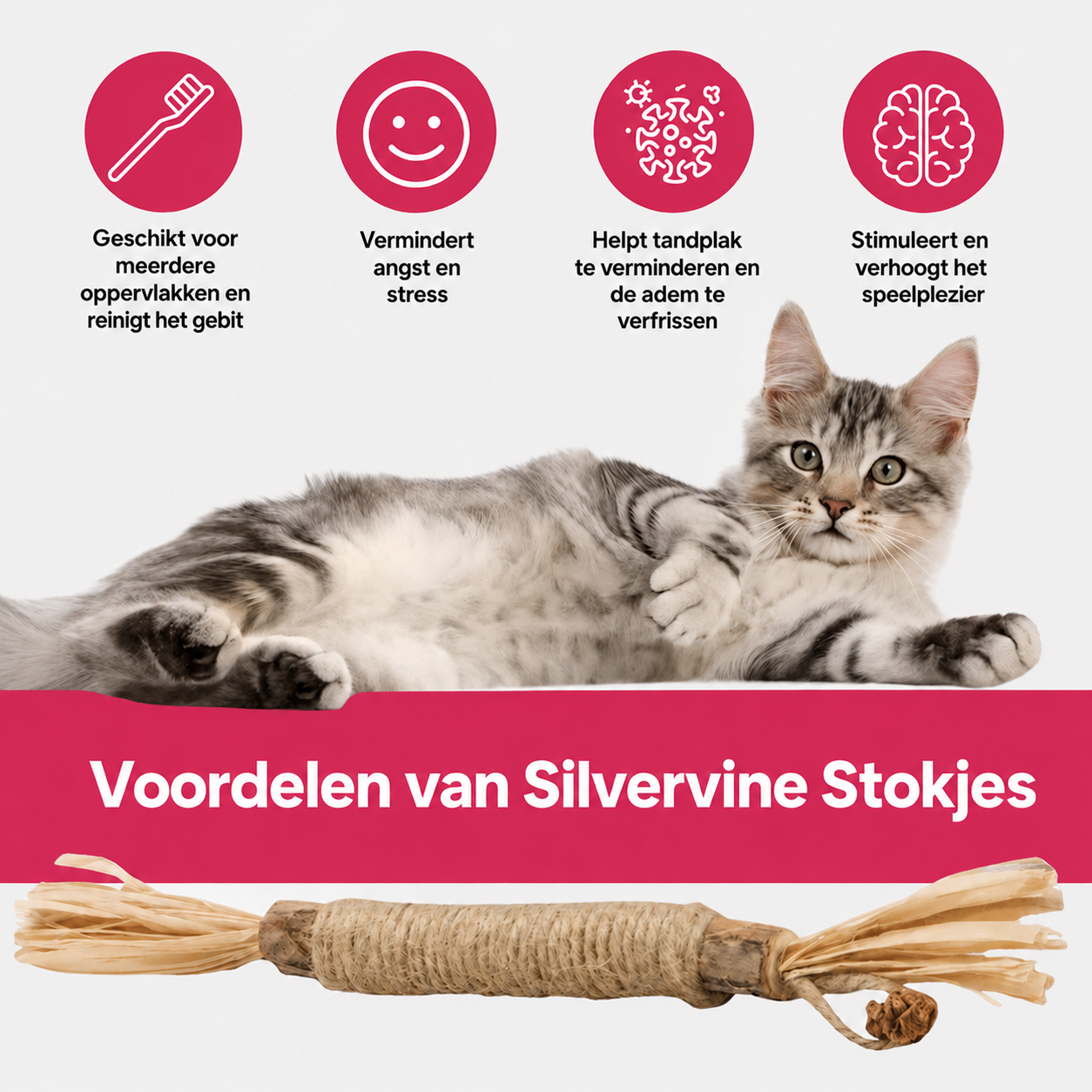 Elvori Tandstokjes met natuurlijke zilverkruid
