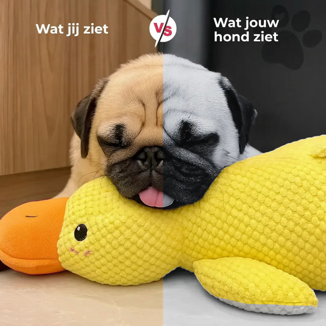 Stress Verlichtende Eend