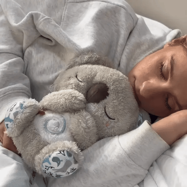 Kalmerende Koala – De metgezel voor innerlijke rust