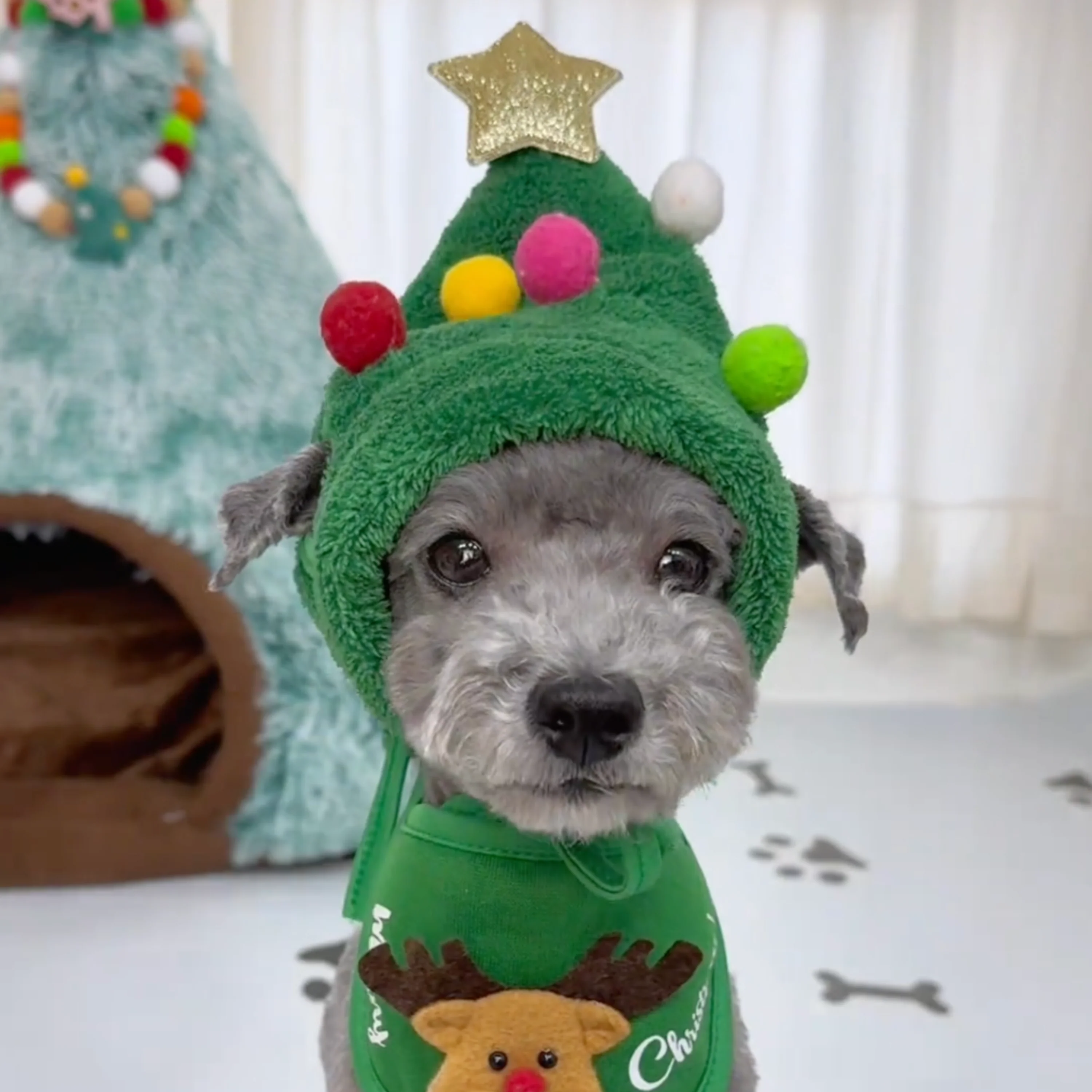 Elvori Virale Kerst Set