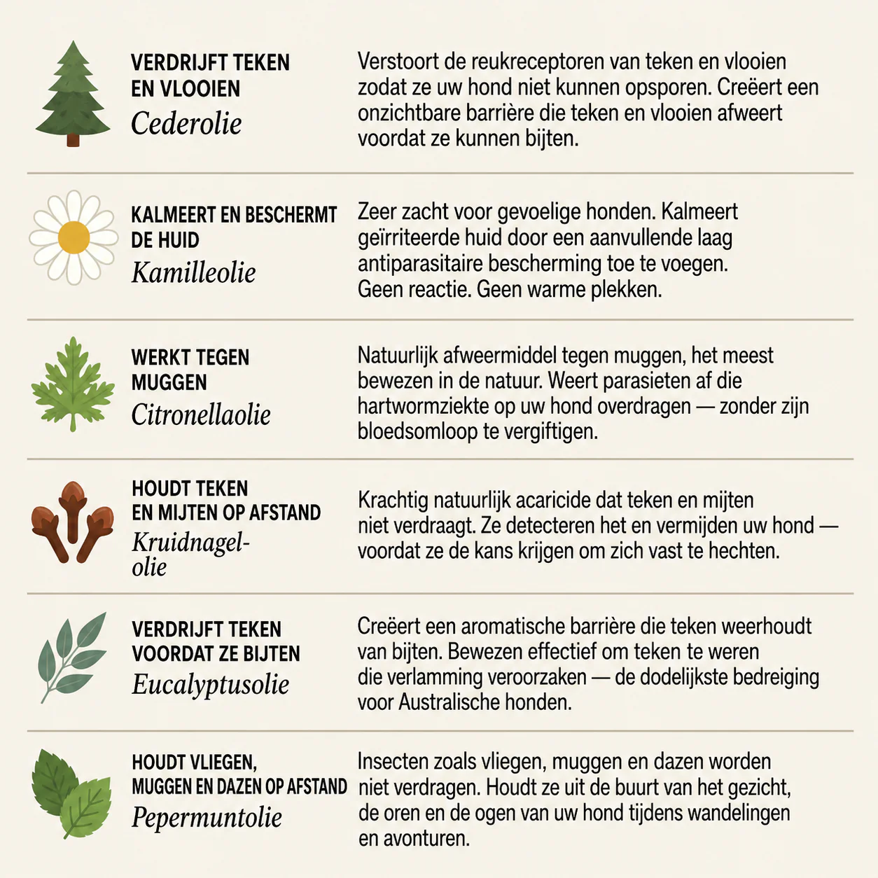 Elvori™ – Tot 12 Maanden Bescherming Tegen Vlooien en Teken
